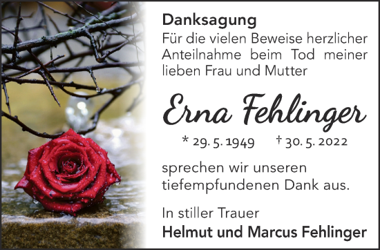 Traueranzeige von Erna Fehlinger von Gelnhäuser Neue Zeitung