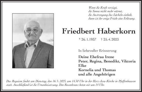 Traueranzeige von Friedbert Haberkorn von Gelnhäuser Neue Zeitung