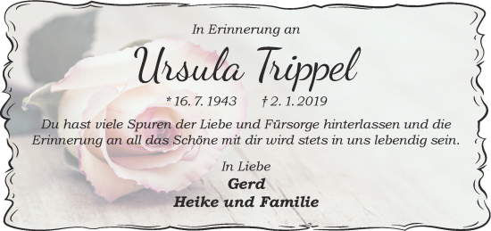 Traueranzeige von Ursula Trippel von Gelnhäuser Neue Zeitung