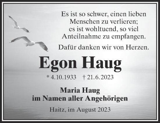 Traueranzeige von Egon Haug von Gelnhäuser Neue Zeitung