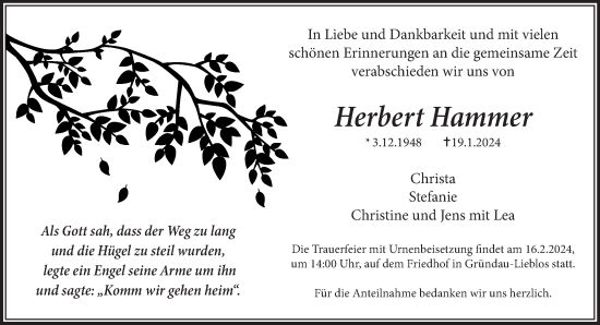 Traueranzeige von Herbert Hammer von Gelnhäuser Neue Zeitung