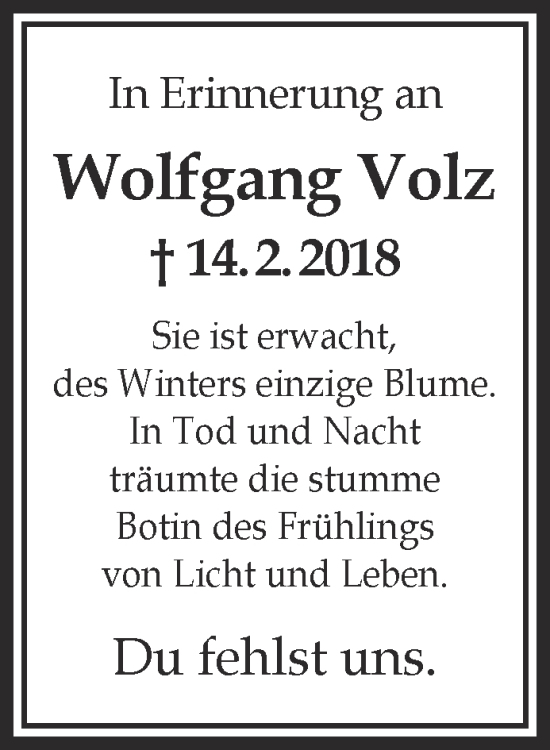 Traueranzeige von Wolfgang Volz von Gelnhäuser Neue Zeitung