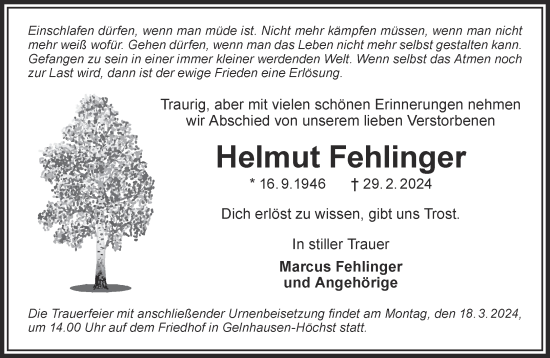 Traueranzeige von Helmut Fehlinger von Gelnhäuser Neue Zeitung