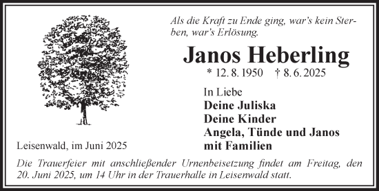 Traueranzeige von Janos Heberling von Gelnhäuser Neue Zeitung